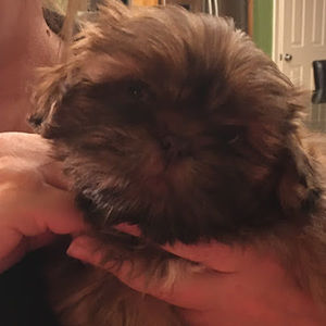 Meet your Posher, Mary